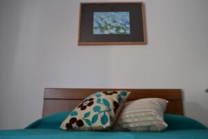 Alter Vip Residencia para mayores