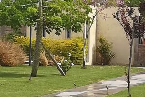 Barrio &laquo;del Oeste Residenciales&raquo;