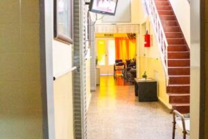 Caballito Geri&aacute;trico La Esperanza