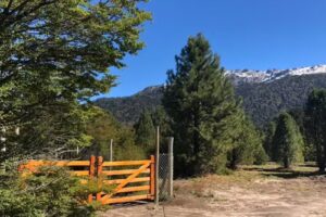 Caba&ntilde;as los abuelos
