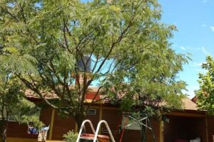 Caba&ntilde;as y Departamentos Abuelo Octavio, alquiler de caba&ntilde;as en Villa Cura Brochero