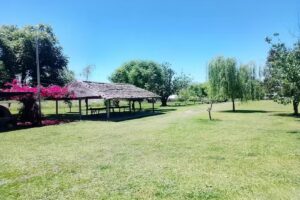 CASA DE LOS ABUELOS, El Rodeito