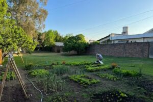 Centro Geri&aacute;trico Juncal