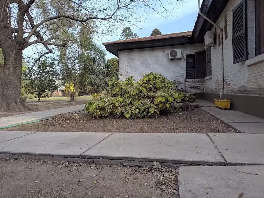 Cl&iacute;nica de Reposo