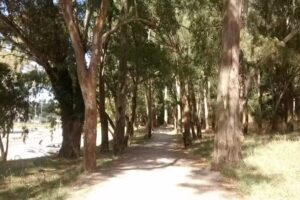 Estudiantes Residencia Universitaria Tandil