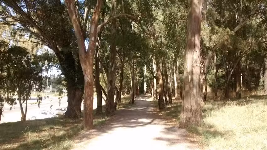 Estudiantes Residencia Universitaria Tandil