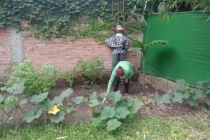 Hogar con Centro de Dia Tafi Viejo