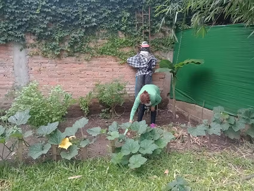 Hogar con Centro de Dia Tafi Viejo