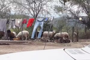 Hogar de Ancianos Camino A San Juan