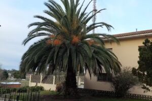 Hogar de Ancianos Garcia Landera