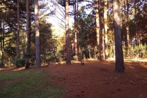 hogar de ancianos Germano Argentino