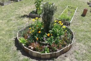 Hogar de Cristo «Don Orione»