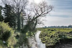 Hogar de Mar&iacute;a