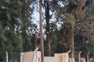 Hogar De Ni&ntilde;os