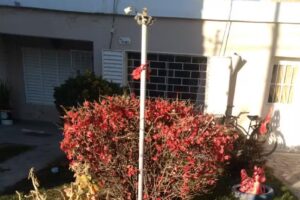 Hogar Luz de Vida – Habilitado por Salud Publica