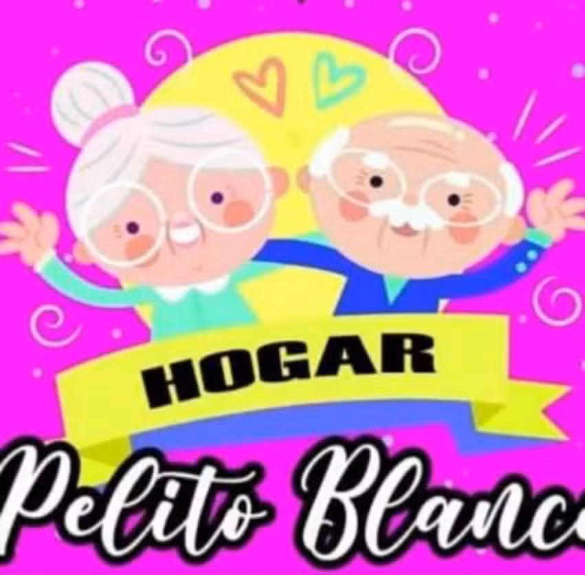 Hogar pelito blanco ️ ️