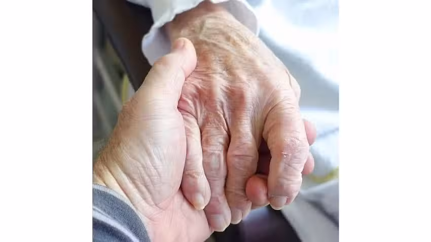 Hogar Residencial las Palmeras