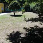 Hogar Sagrado Coraz&oacute;n De Jesus