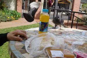 Instituto Geriátrico Maranata SRL