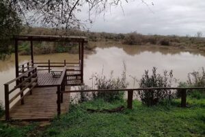 Los Abuelos Casa Alpina