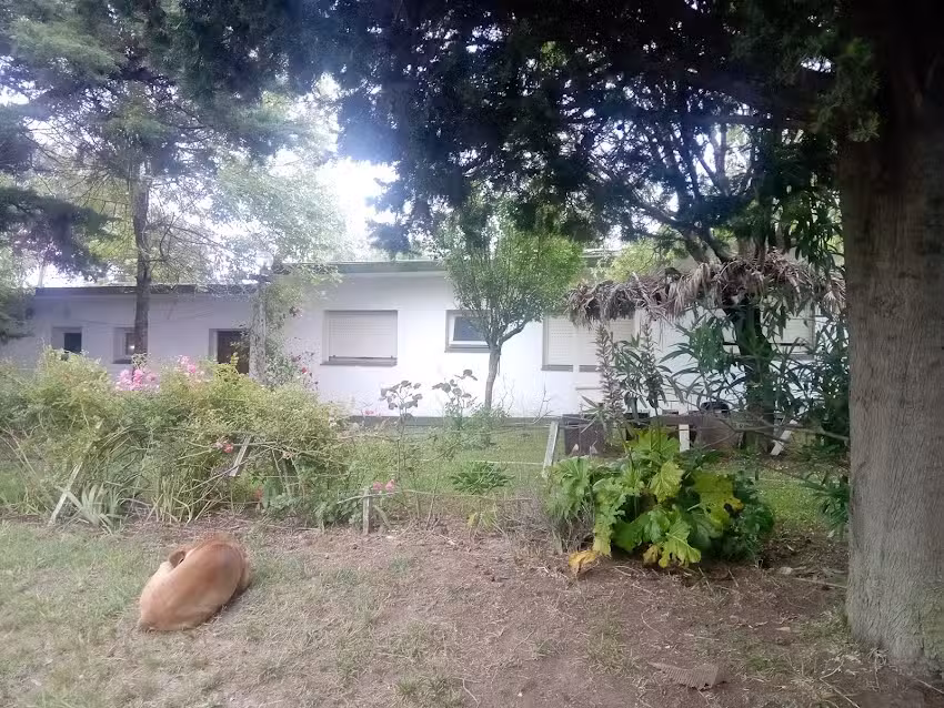 Los Abuelos Chapadmalal