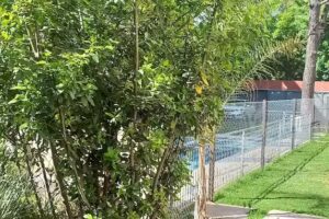 Pircas 2 Geri&aacute;trico y casa de reposo