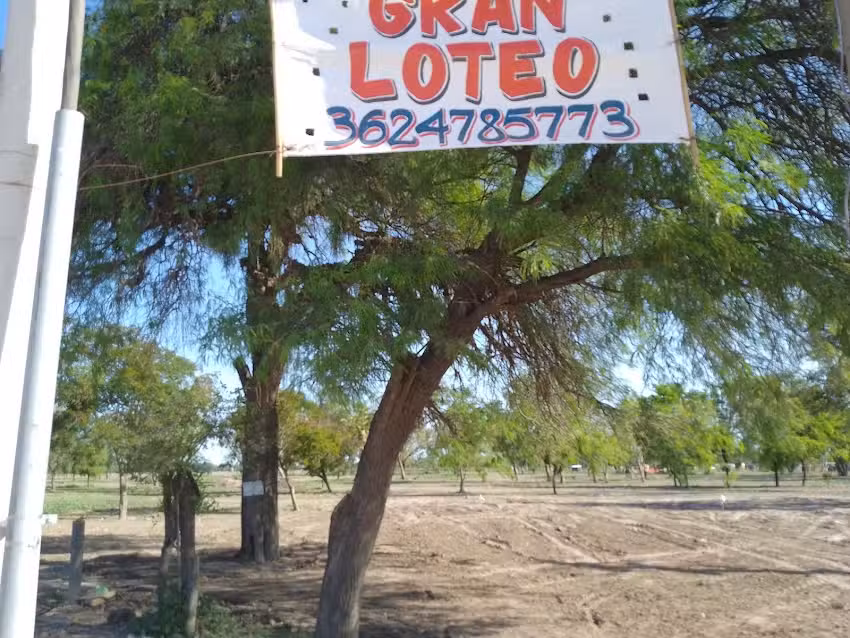 Psicogeri&aacute;trico Pierrette