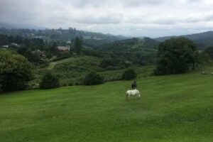 Raco Abuelos Negrete