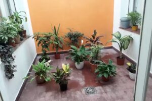 Renacer Hogar Geri&aacute;trico