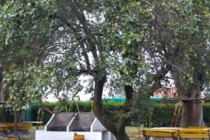 Residencia &uml;El Remanso&uml; AMCIRSE Delegaci&oacute;n Tandil