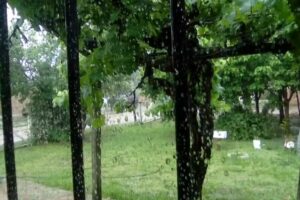 Residencia Geriatrica Brisas del Sur