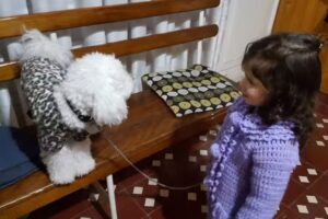 Residencia Geriatrica Felices Los AbuelosArgentina