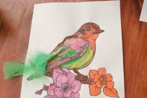 Residencia Geriátrica Nuestra Señora del Rosario