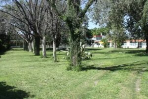 Residencia geri&aacute;trica Nuevo Sol