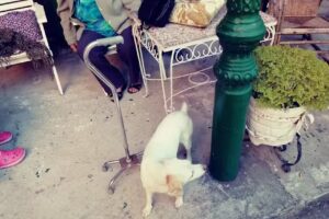 Residencia Geriatrica San Jos&eacute;