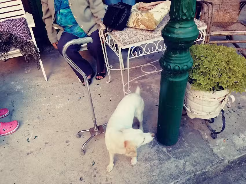 Residencia Geriatrica San Jos&eacute;