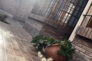 Residencia Geriátrica Vida Plena