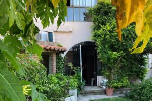 Residencia girasoles