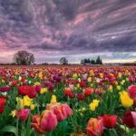 Residencia La Tercera Edad