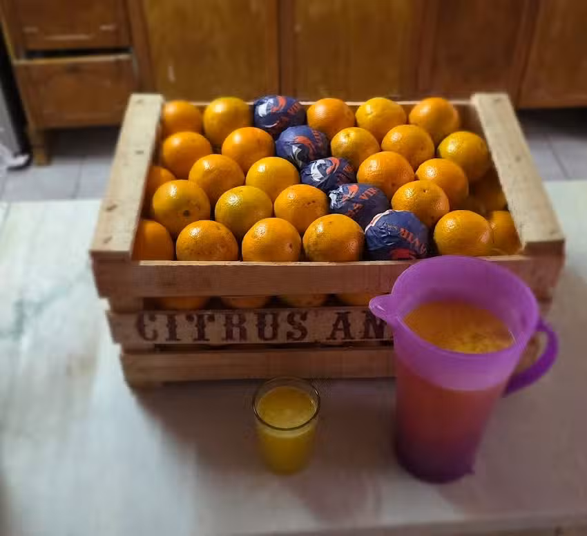 Residencia Querencia