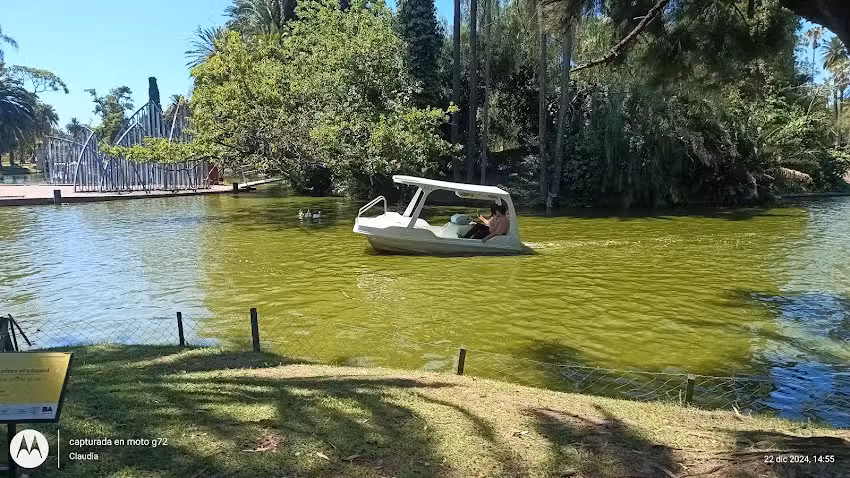 Residencia Rosales MDQ