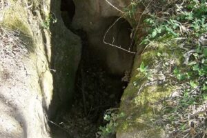 Residencia Universitaria San Javier