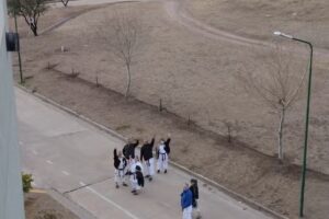 Residencias Universidad de La Punta